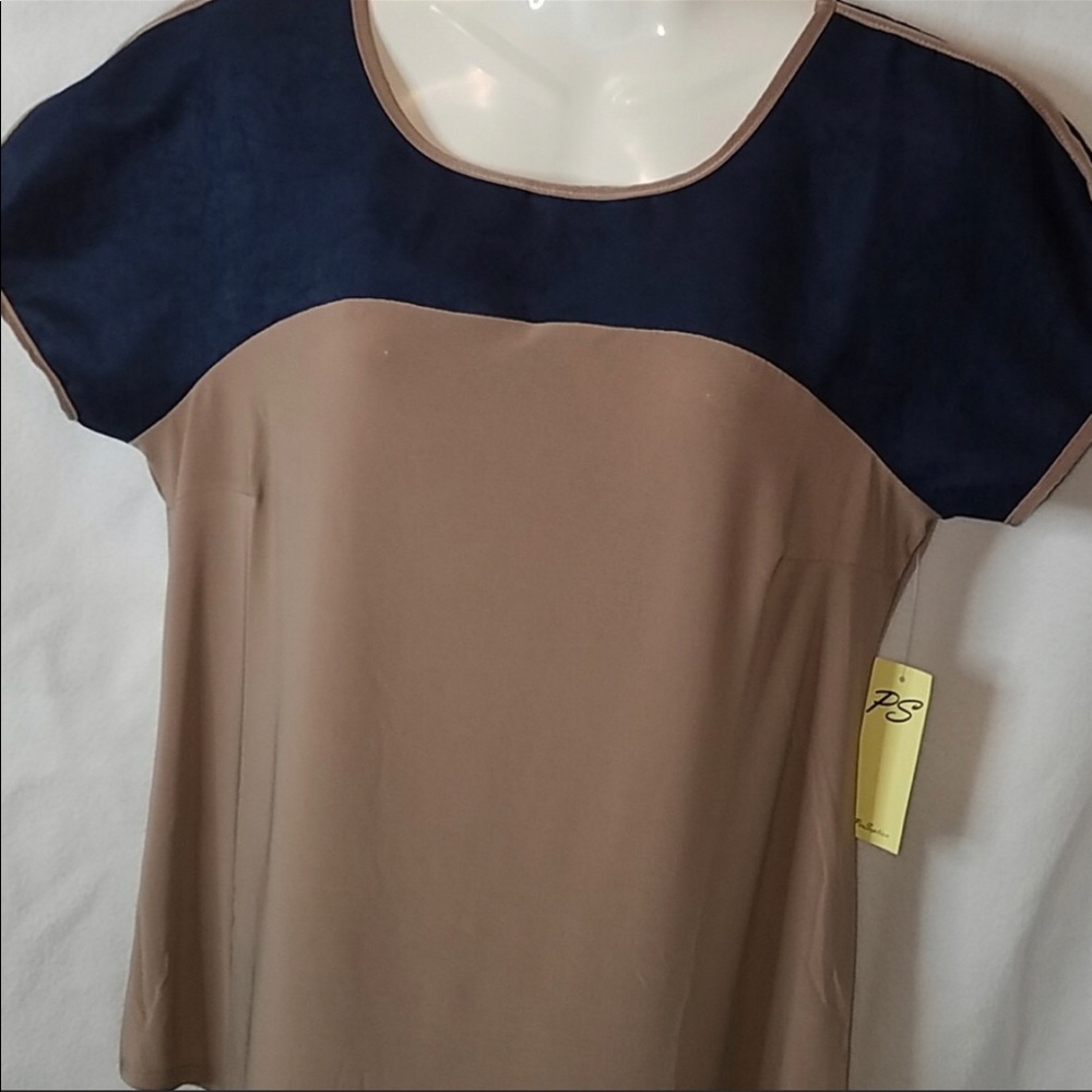 Elegant and Classy Colorblock Blouse
